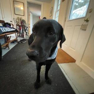 Meet your Posher, Caroline